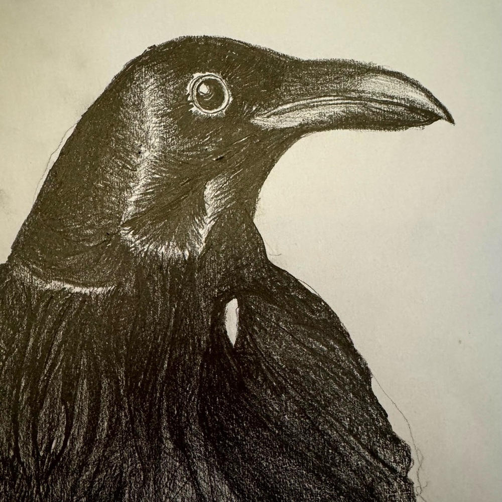 Meet your Posher, Joanna